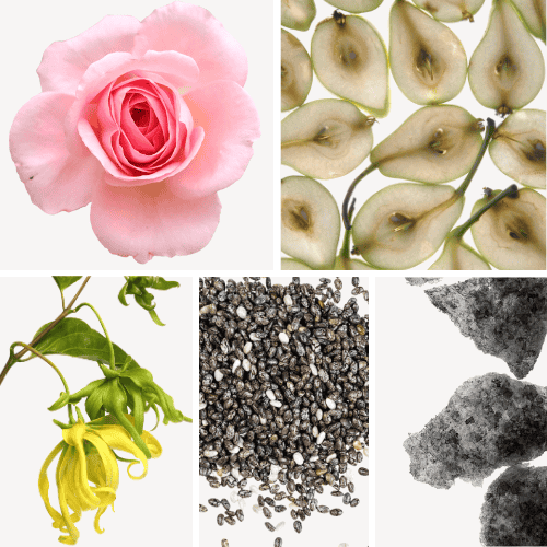 Duftnoten: Rose, Birne, Yang-Ylang, Ambrettsamen, Moschus